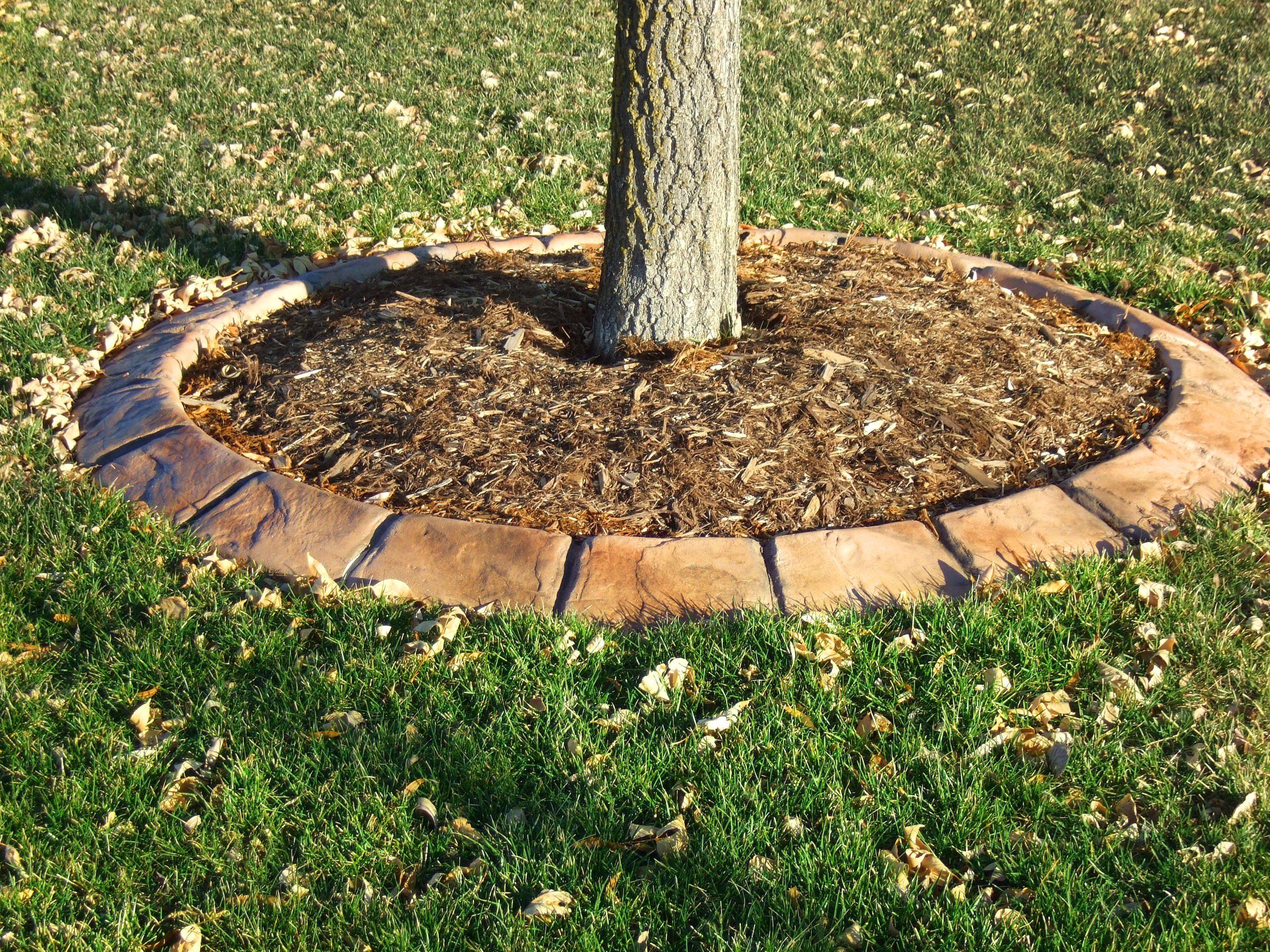 Your Beautiful Front House Landscape