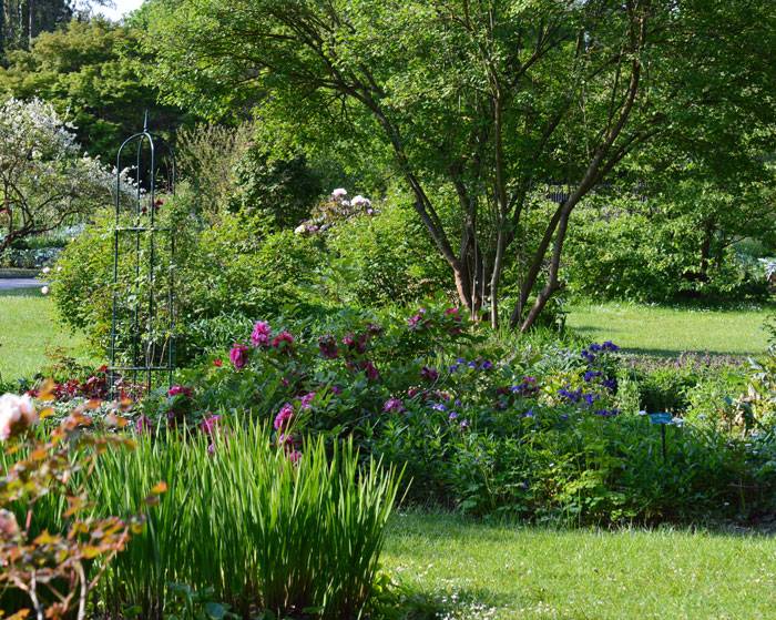 Trees Silahsilahcom Garden Ideas