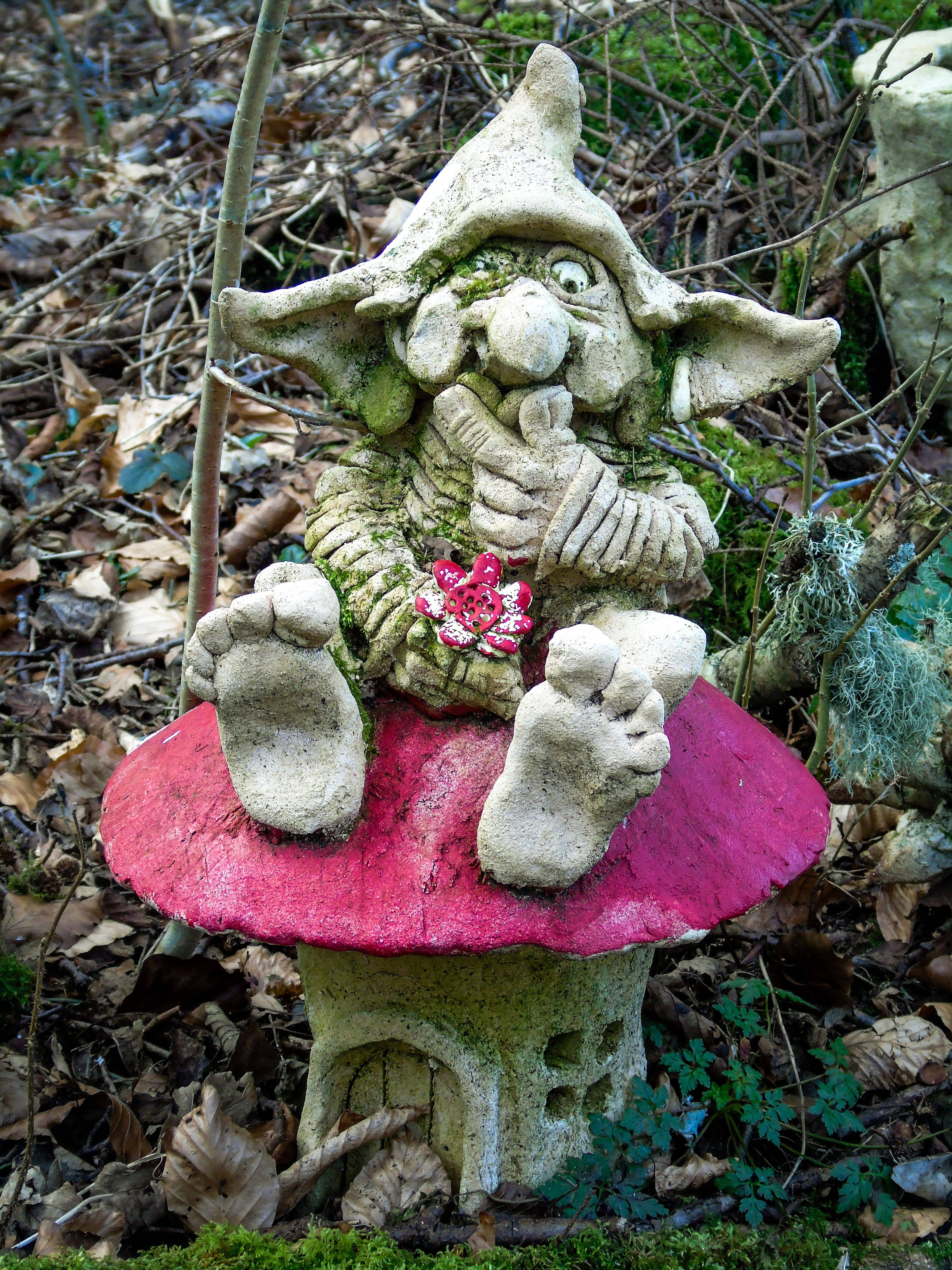 The Garden