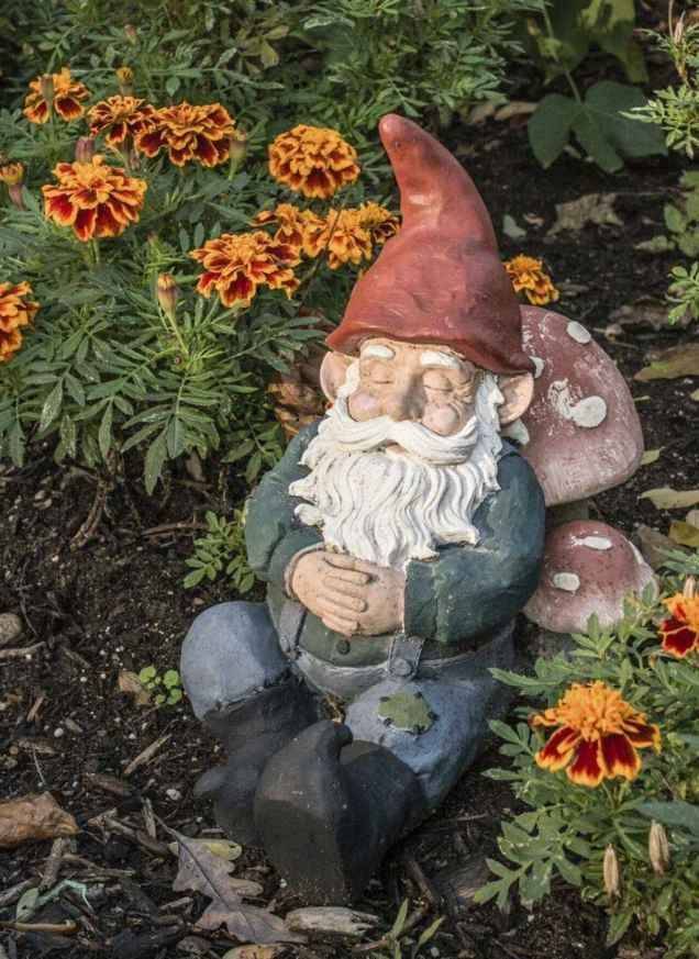 Funny Garden Gnomes