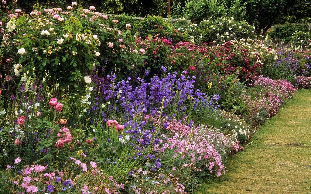 Country Flower Garden Border Ideas