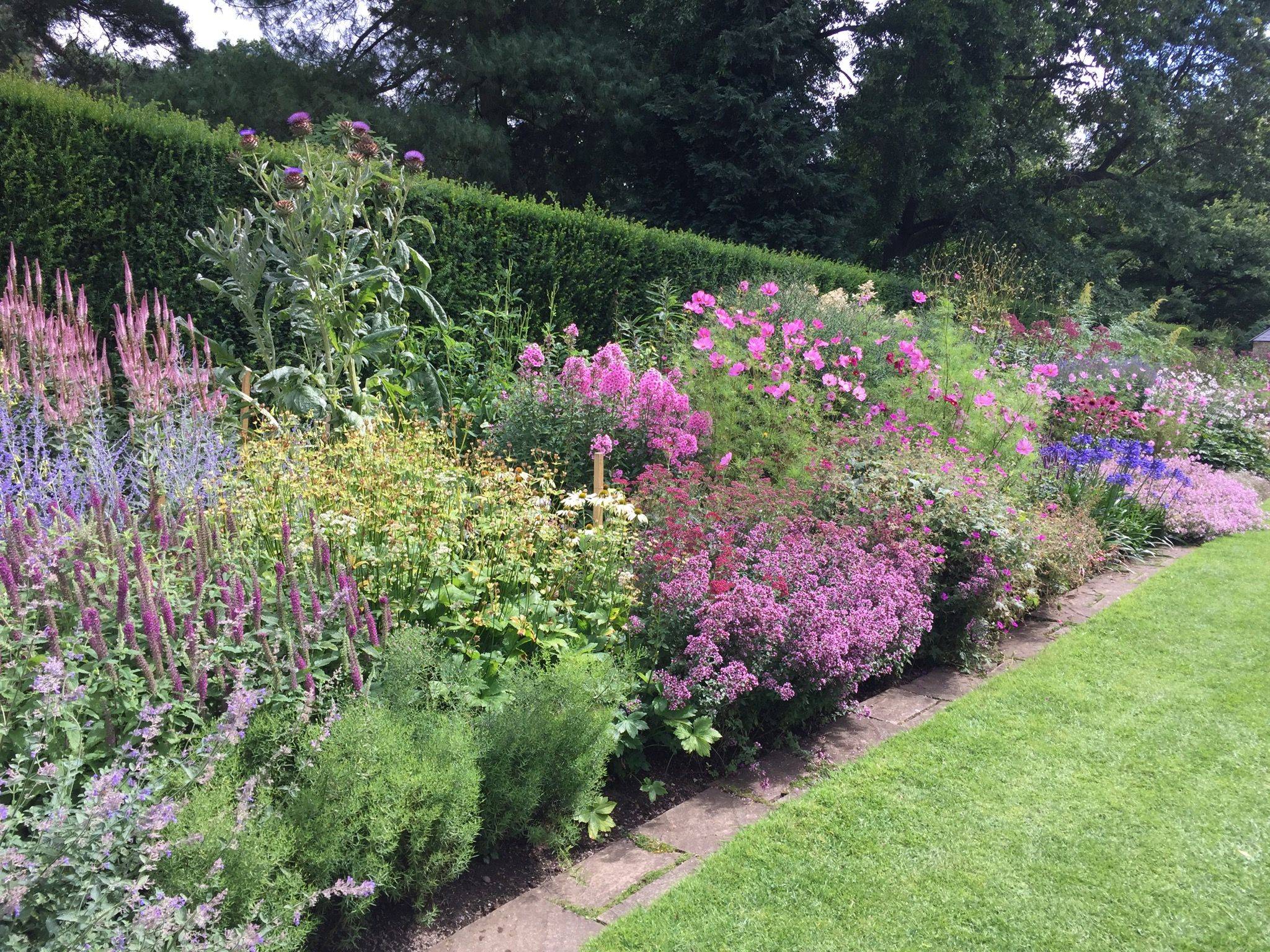 A Herbaceous Border
