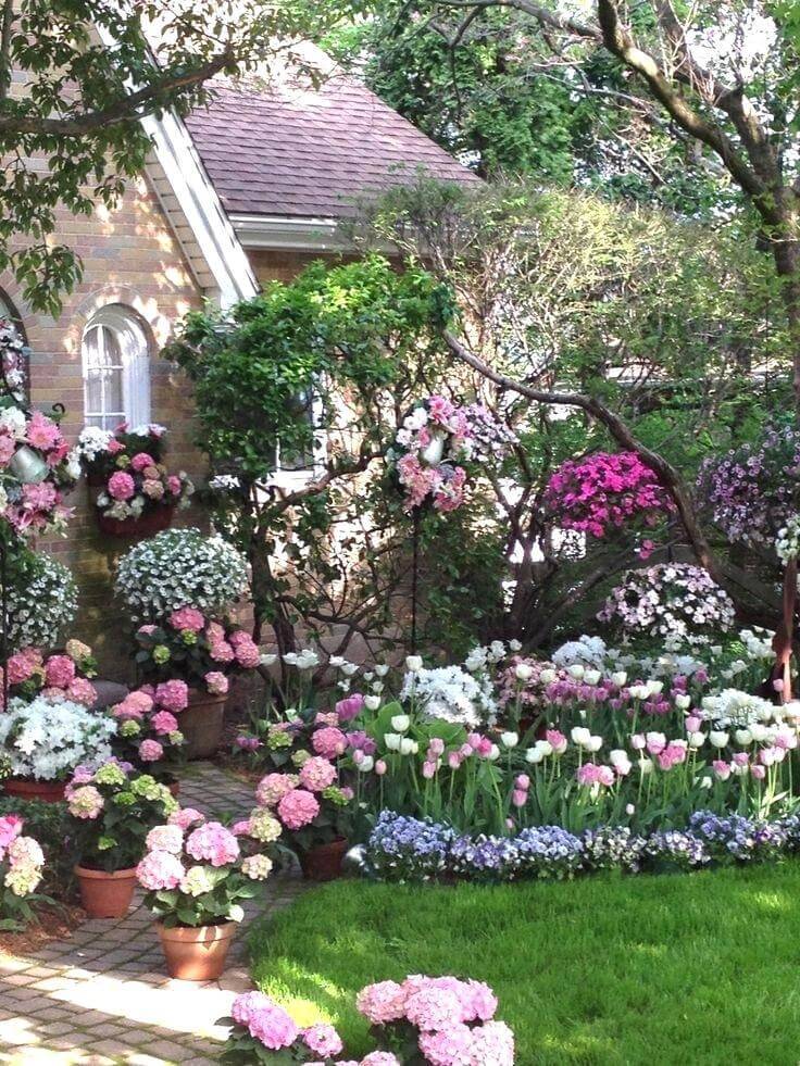 Dreamy Hydrangea Gardens