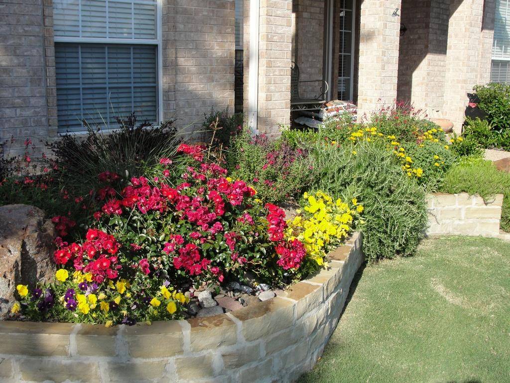 Lunch Latte Garden Design