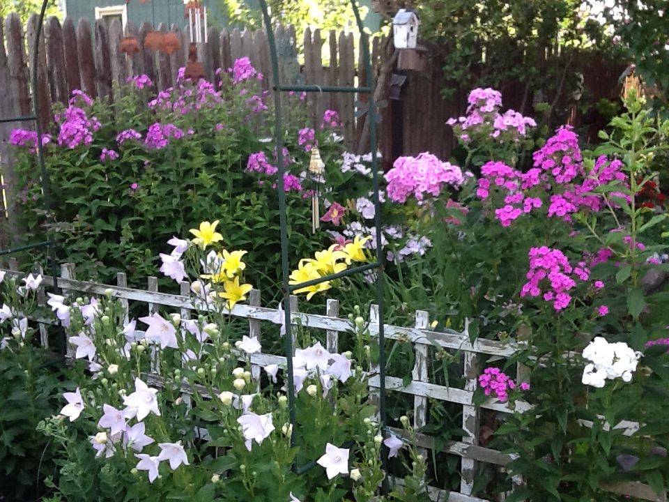 Best Front Yard Landscaping Ideas
