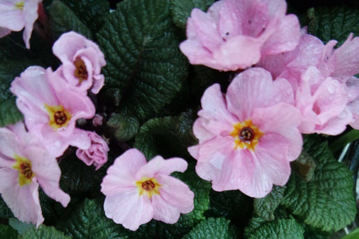 Living Giving And Entertaining With Style And Grace Beautiful