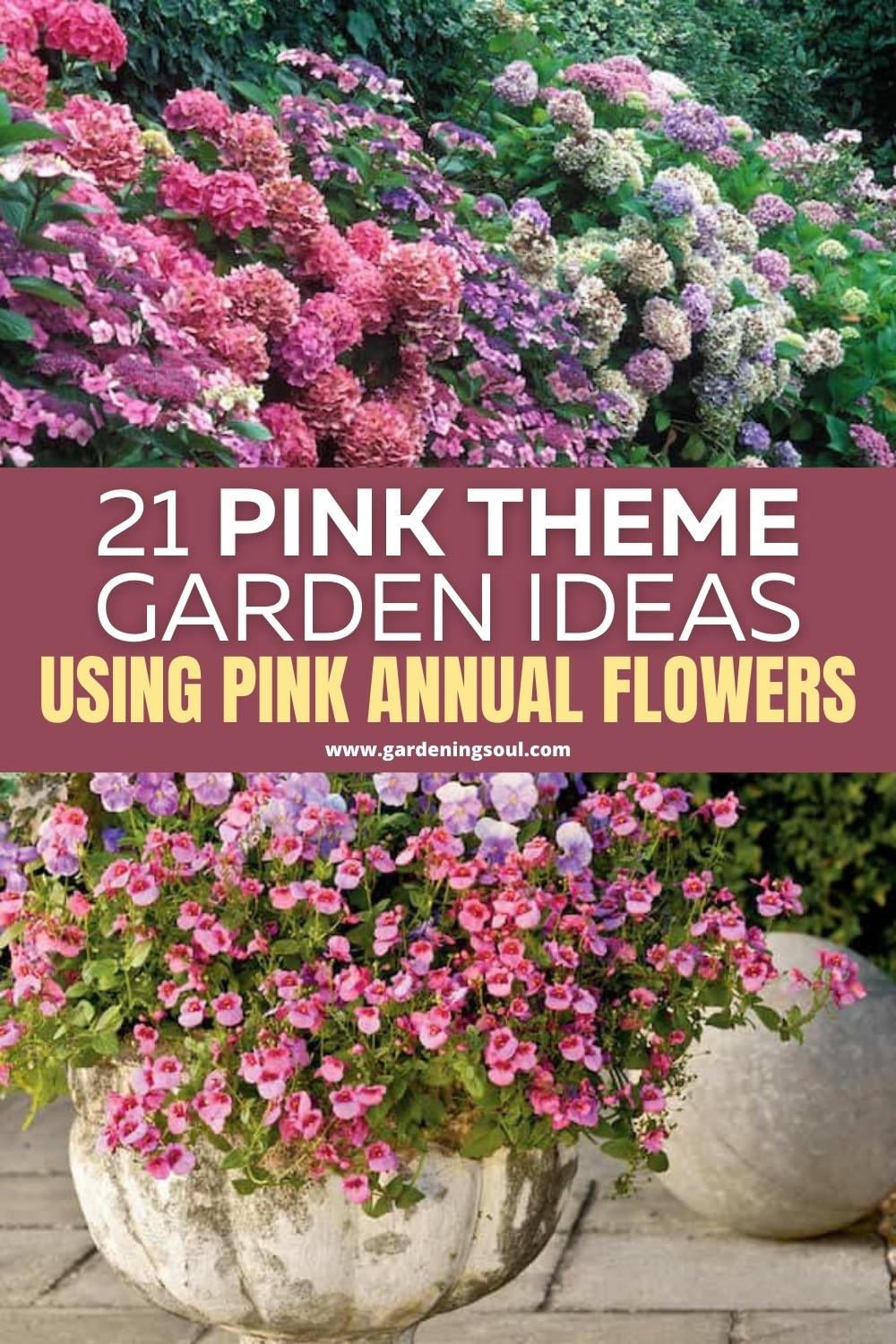 Flower Carpet Pink Red And Appleblossom Roses