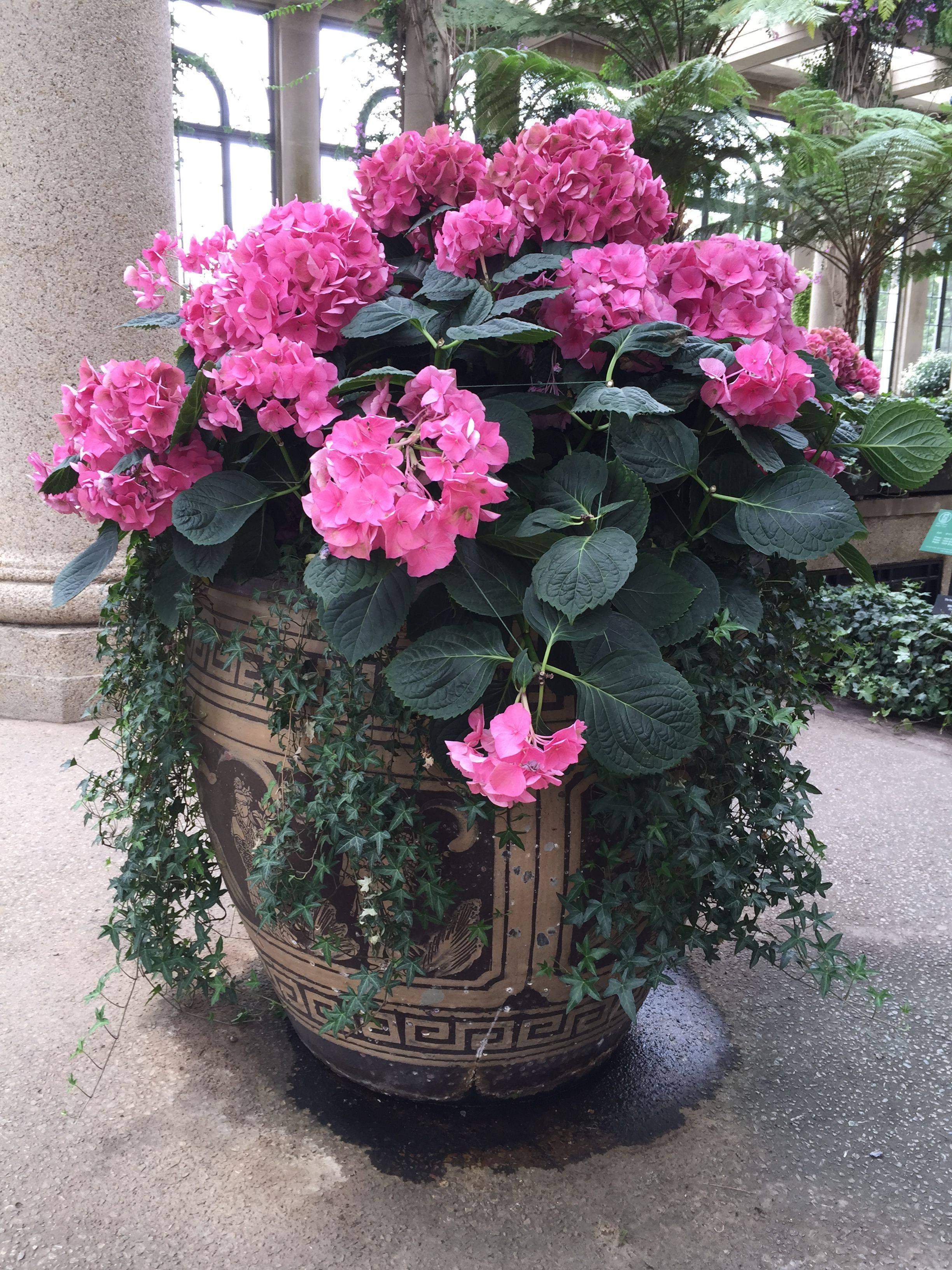 Pink Garden Border Gardenborders Garden Borders
