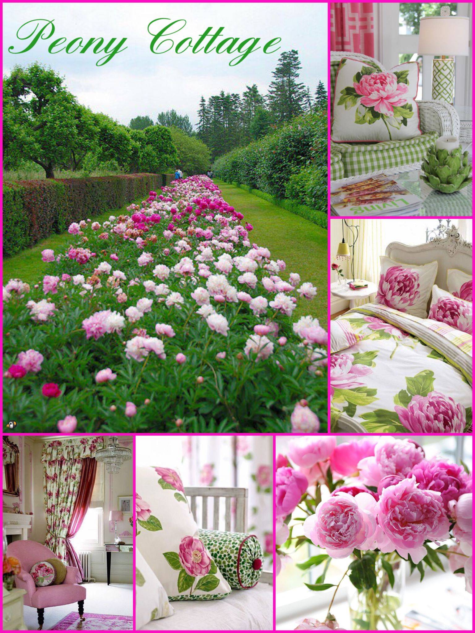 Pink Garden Ideas