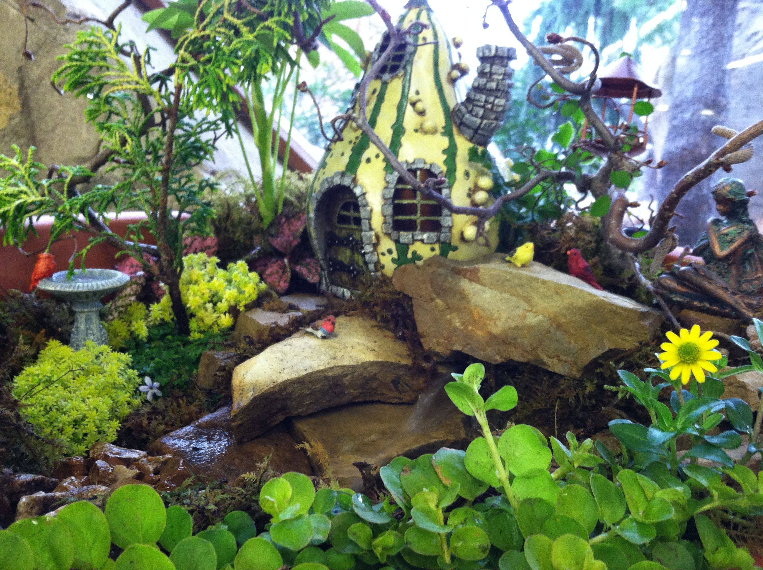 Perhaps A Water Feature