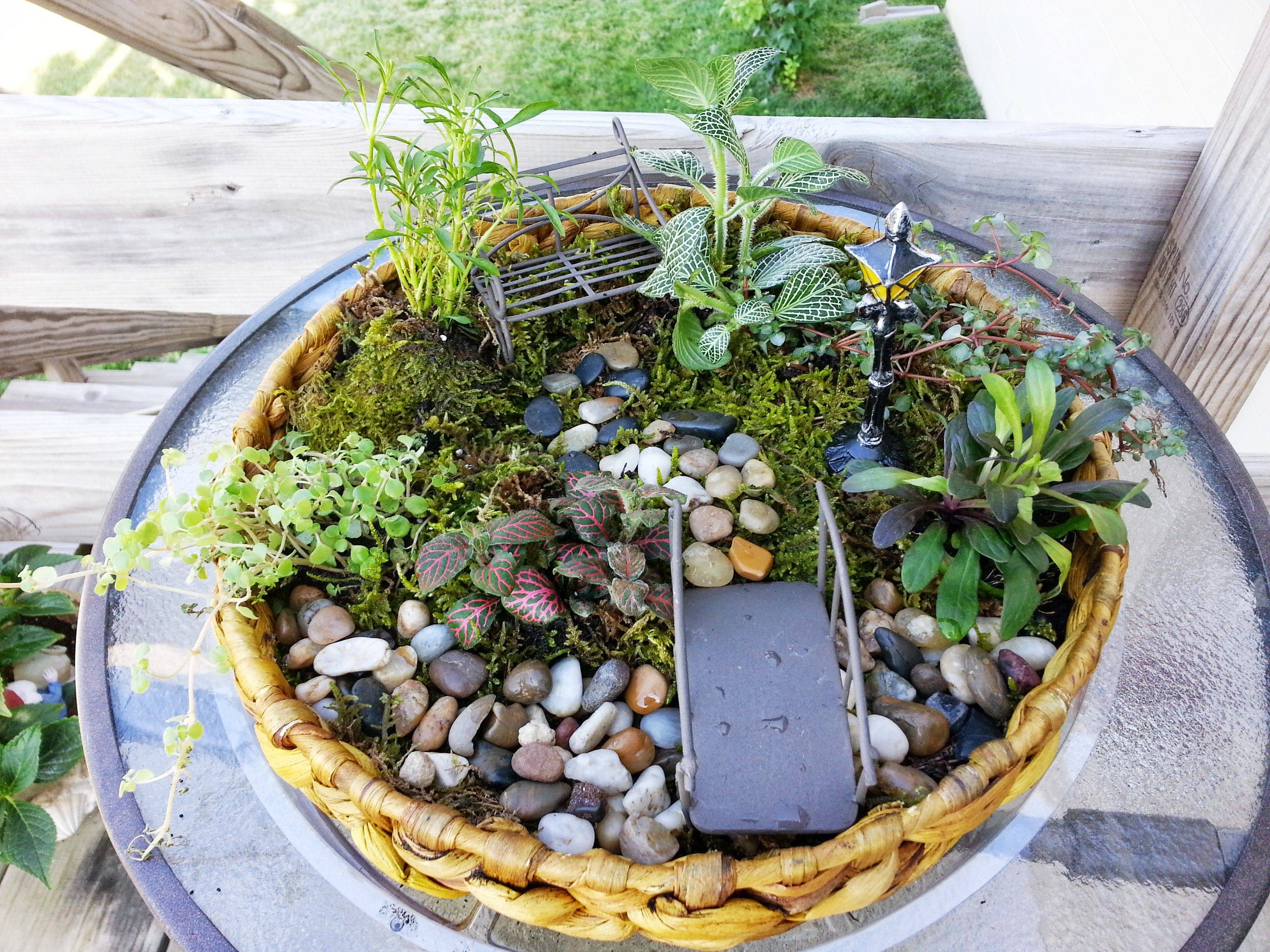 Fabulous Fairy Garden Ideas Live Diy Ideas