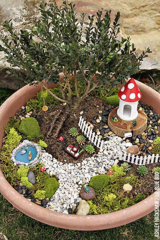 Diy Amazing Plants Fairy Garden Ideas