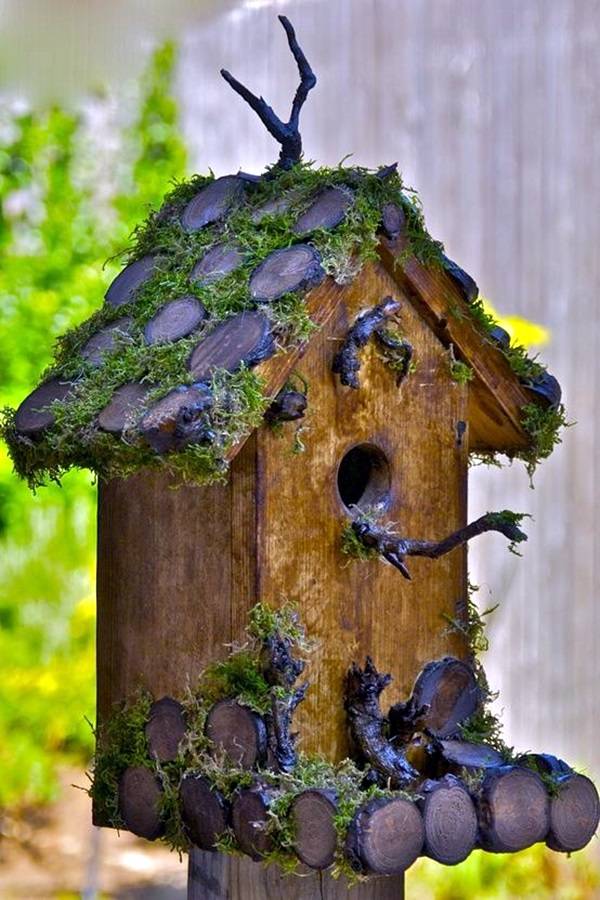 Best Popular Birdhouses Rustic