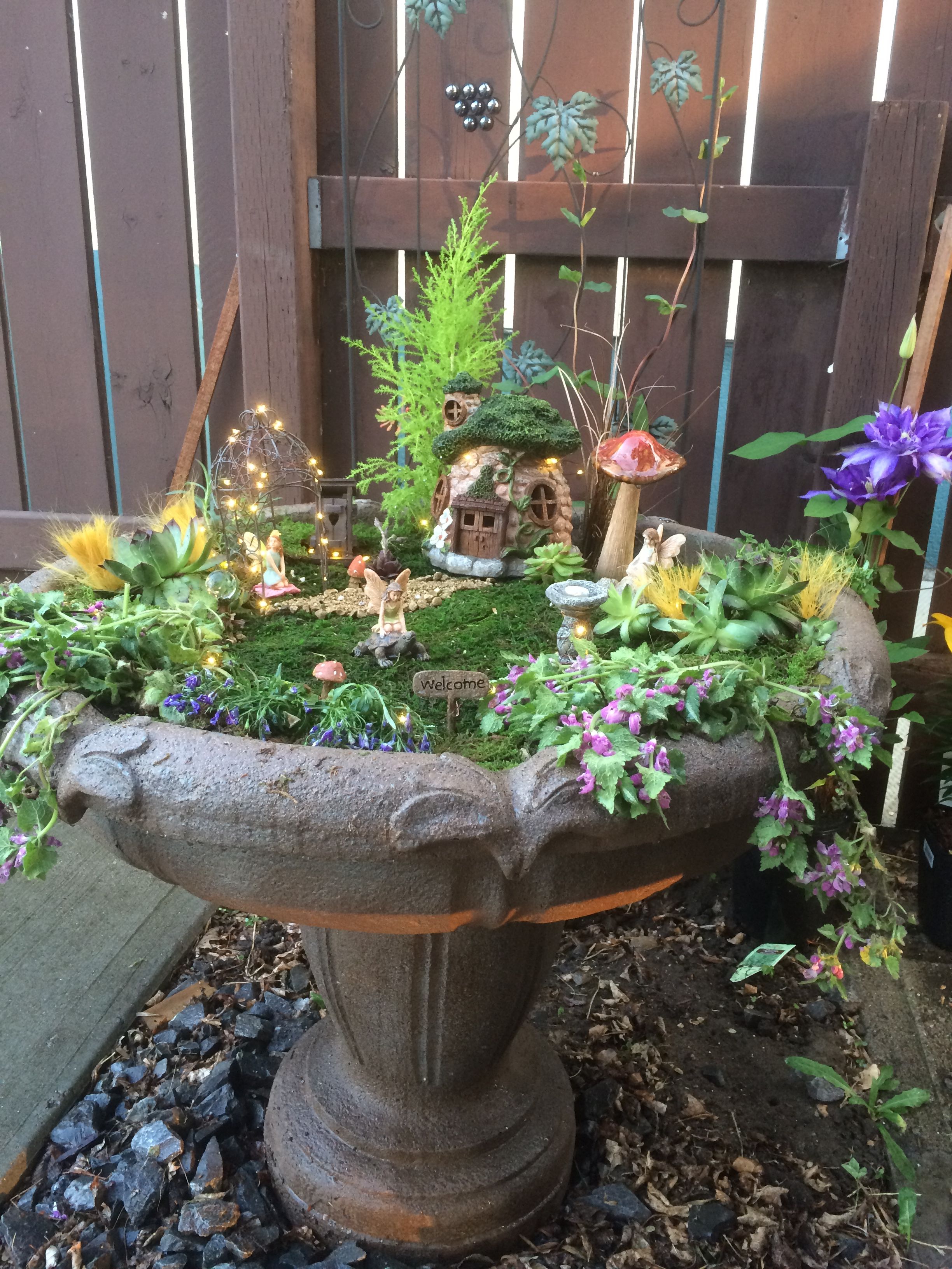 Fairy Gardens