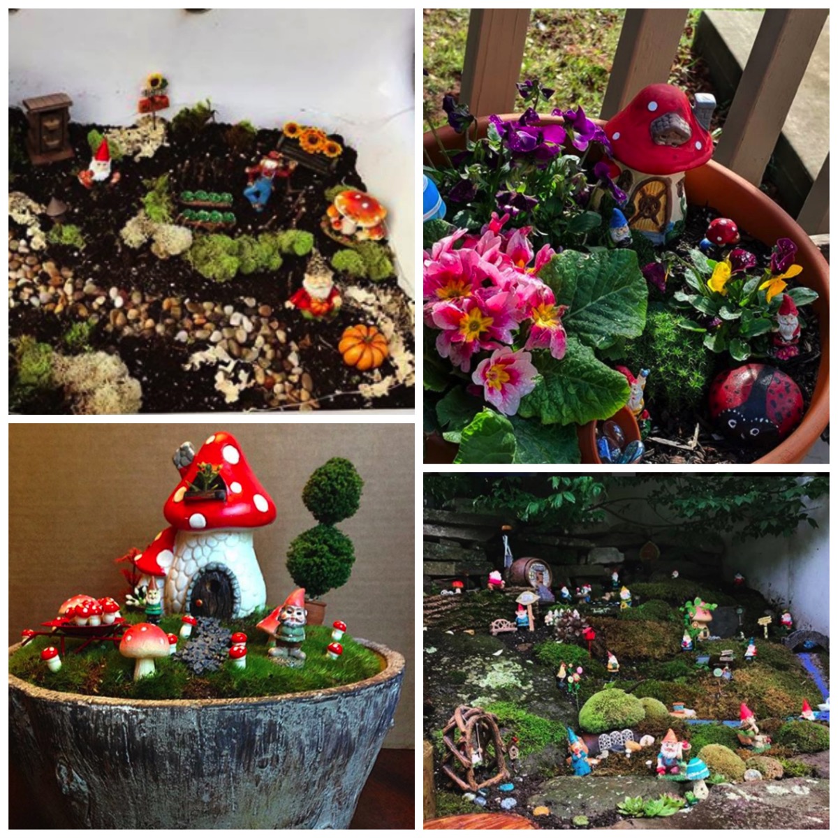 Garden Gnome Information Learn