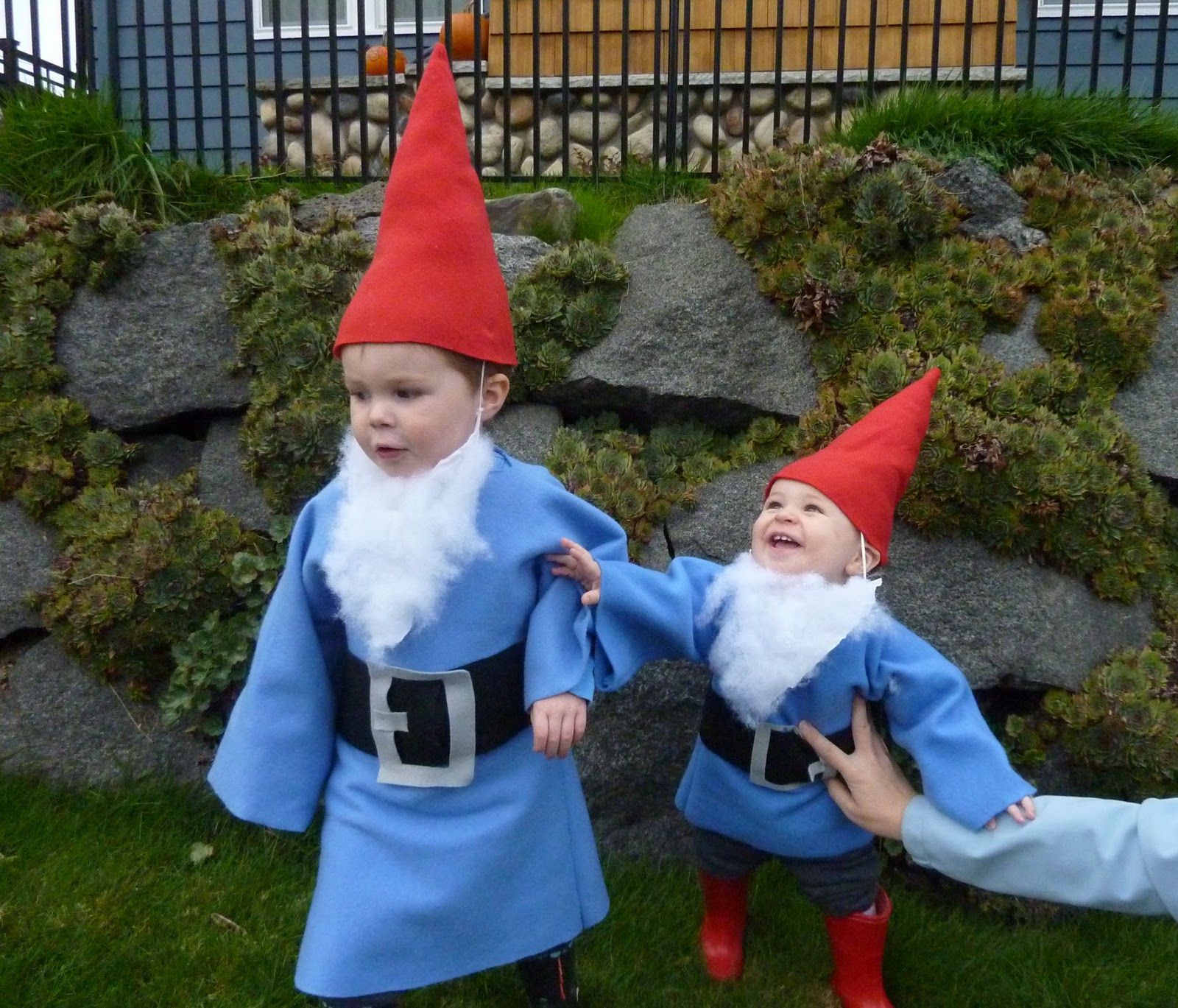The Best Funny Garden Gnomes Ideas