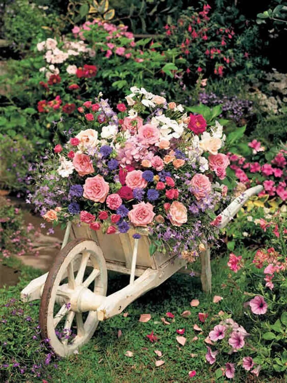 A Charming Garden Path Page