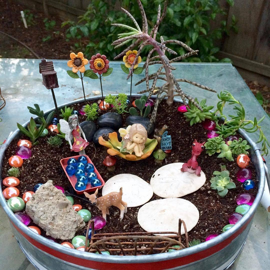 My Fairy Garden
