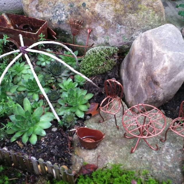 Teacup Fairy Garden