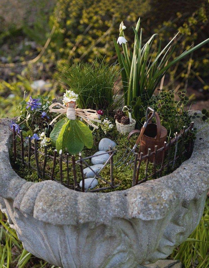 Garden Design Ideas
