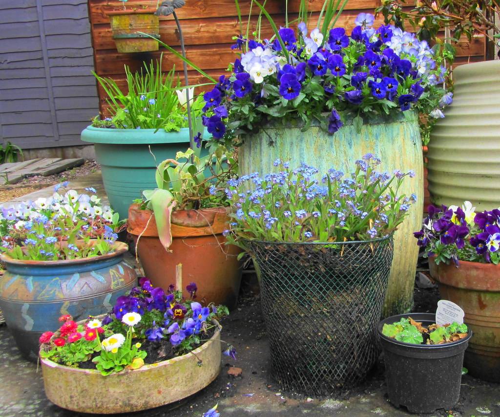 Recycled Container Gardening Ideas Hubpages
