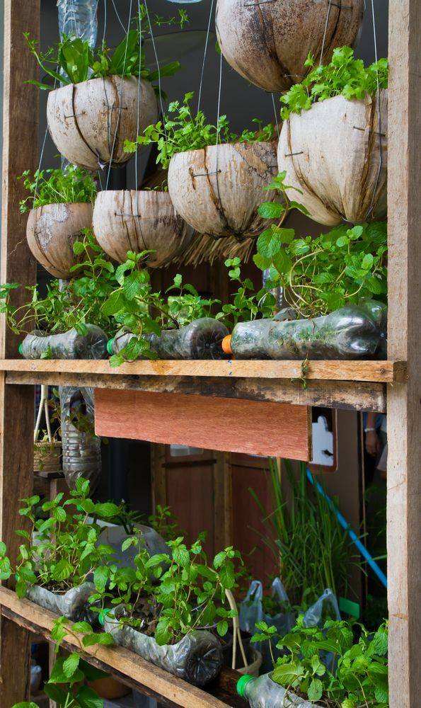Fantastic Vertical Garden Indoor Decor Ideas