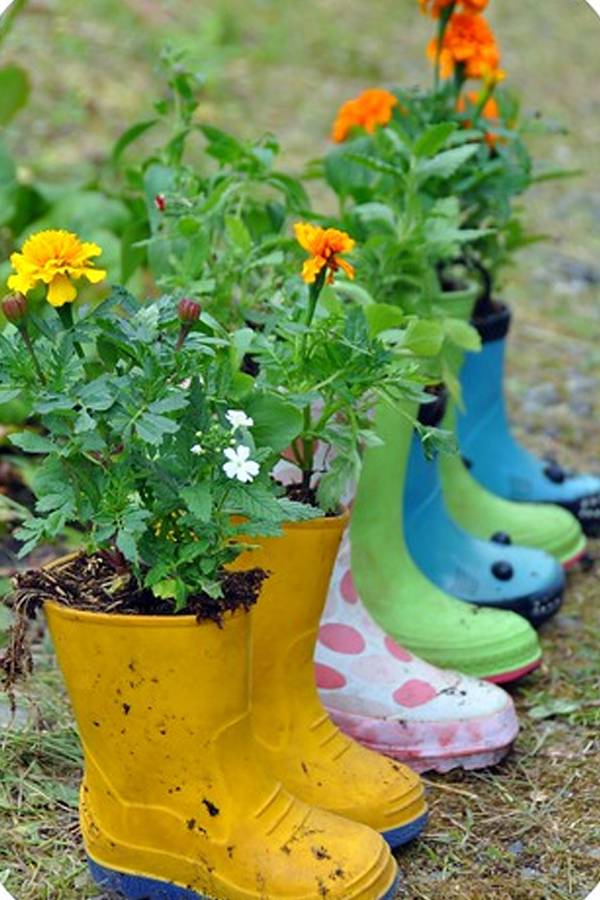 Recycled Container Garden