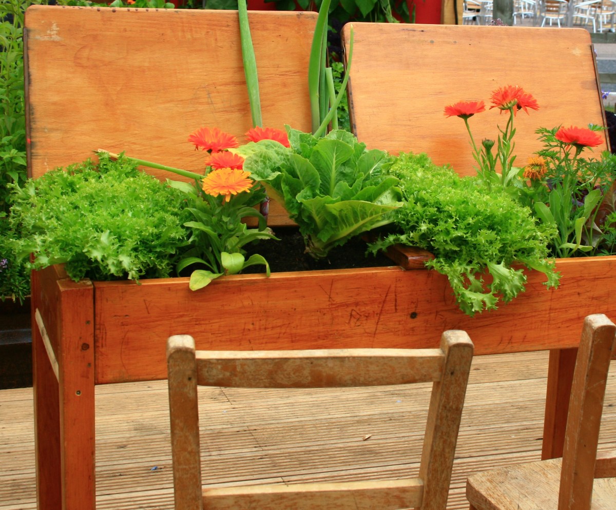 Recycled Container Garden Part Ii