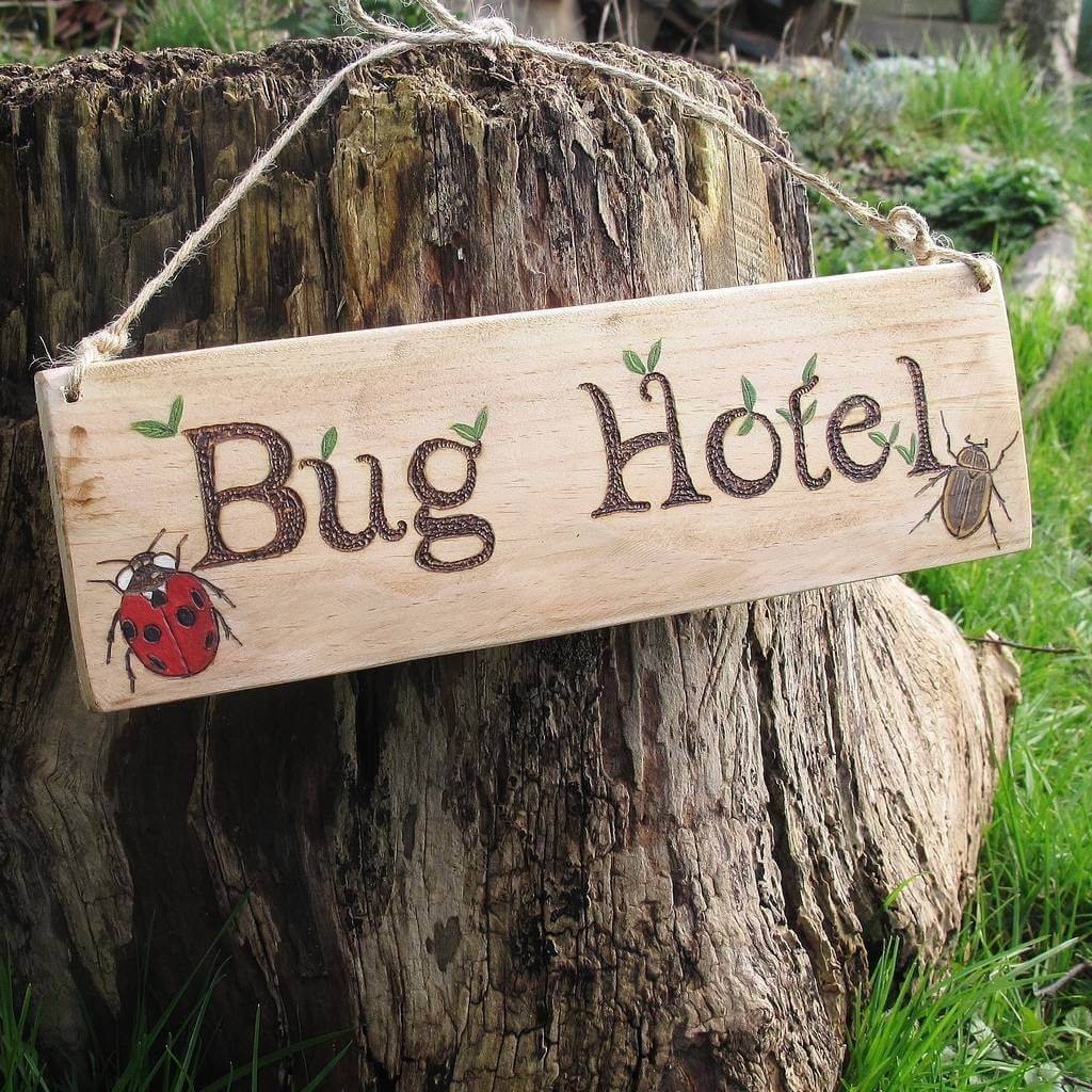 Creative Funny Garden Sign Ideas