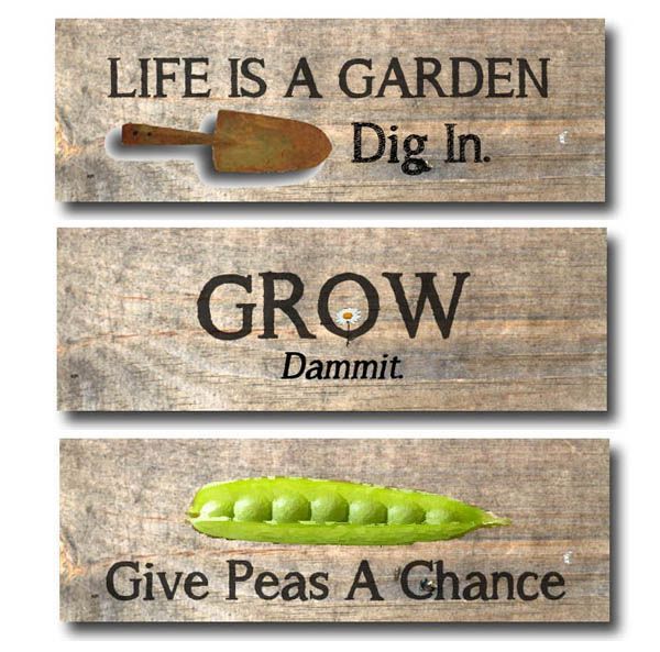 Your Garden Living A Sunshine Life