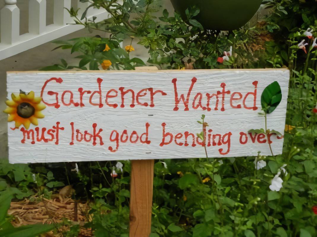 My Garden Funny Garden Signs