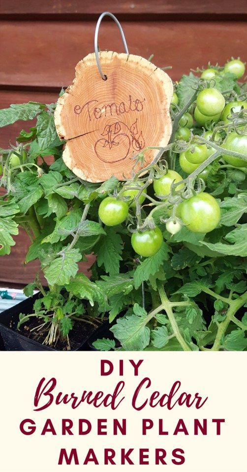 Garden Markers Ideas