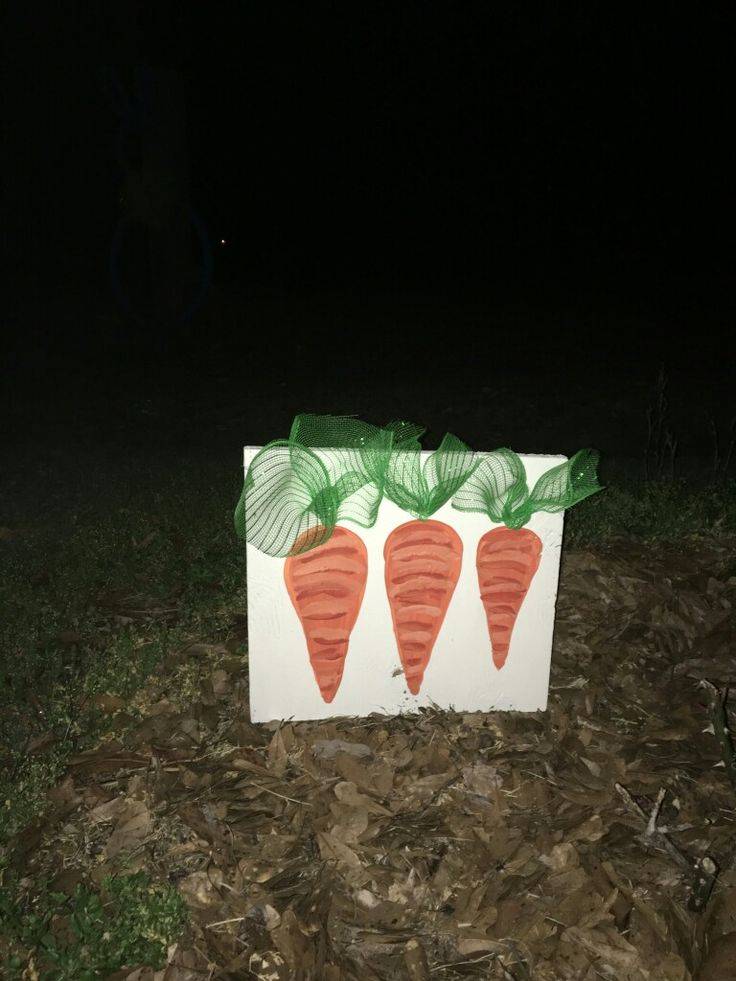 All Funny Garden Signs