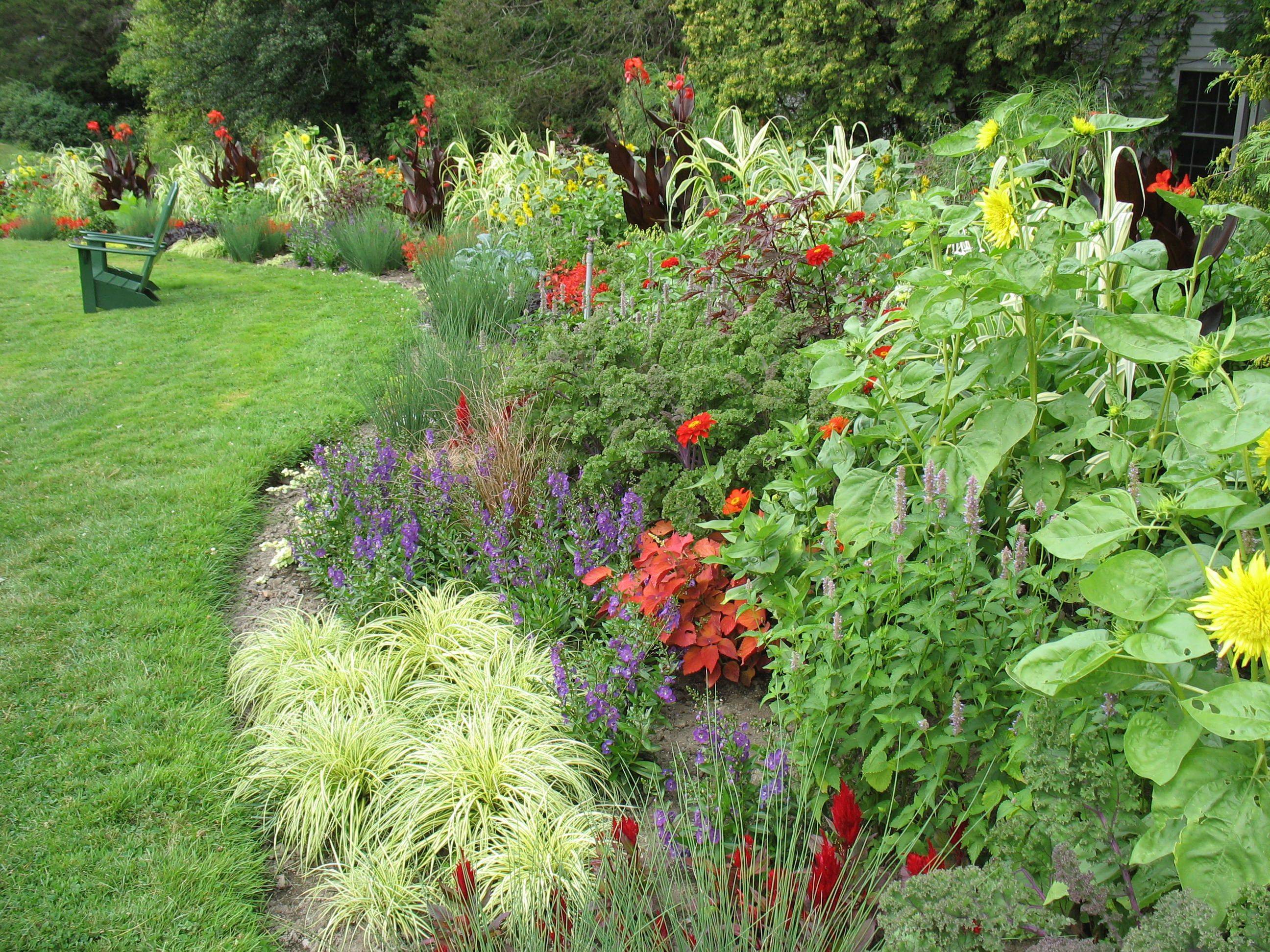 A Truly Mixed Border Styleseed