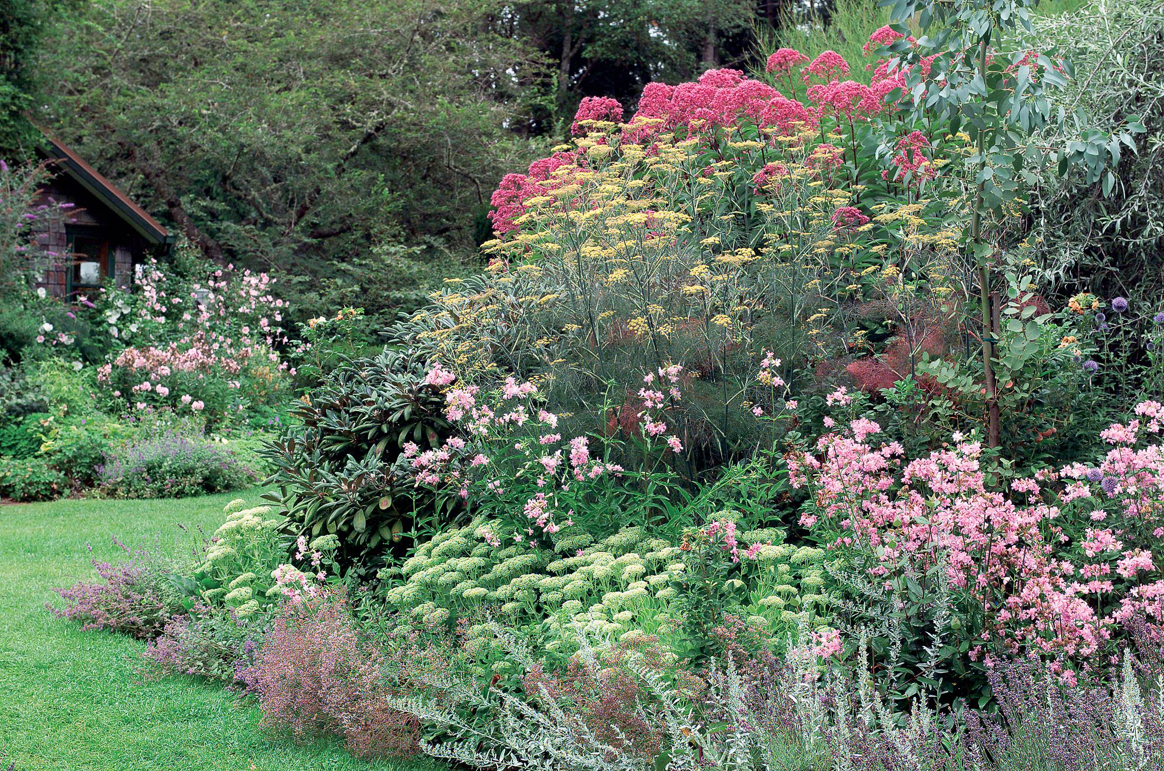 A Colorful Mixed Border