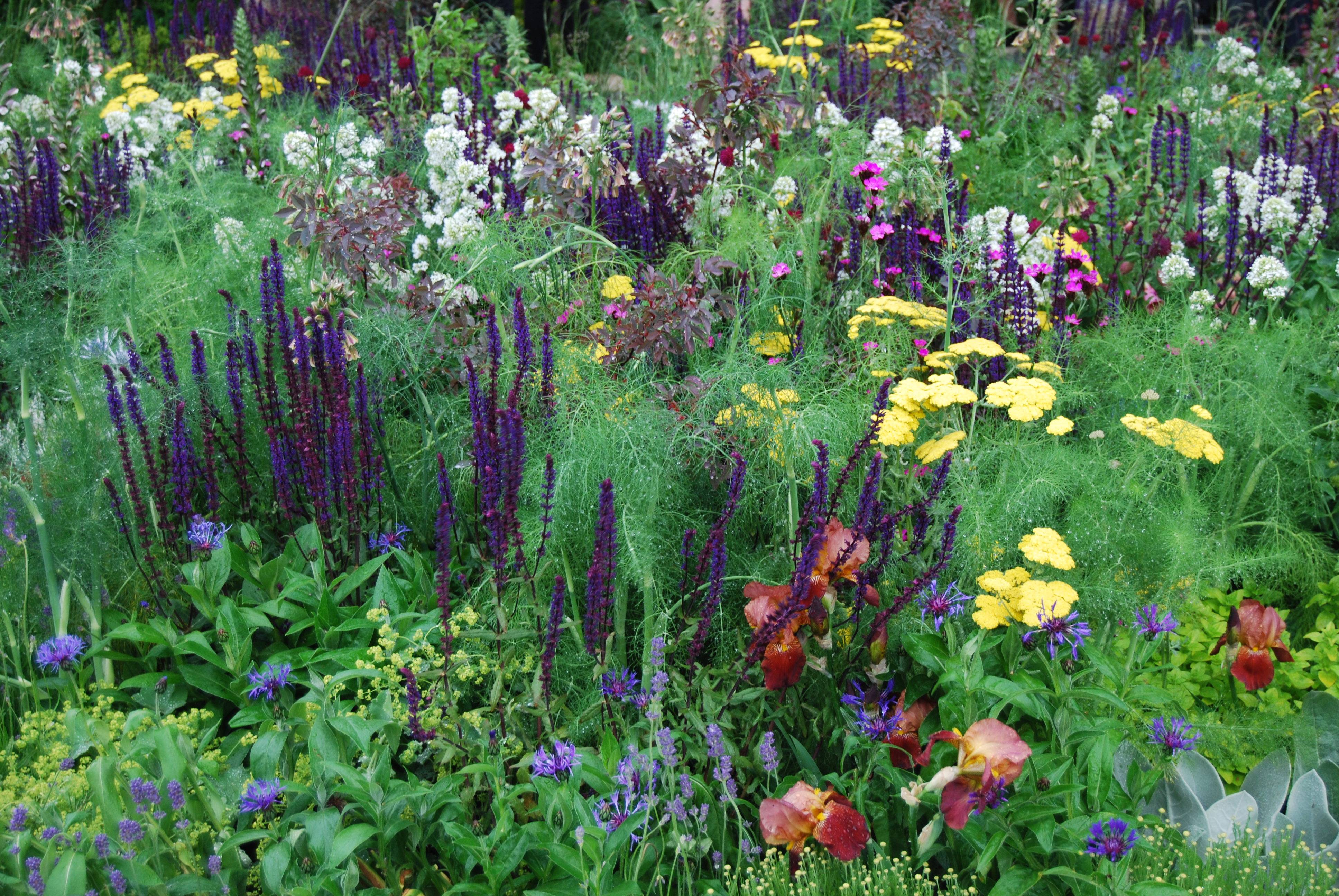 English Garden
