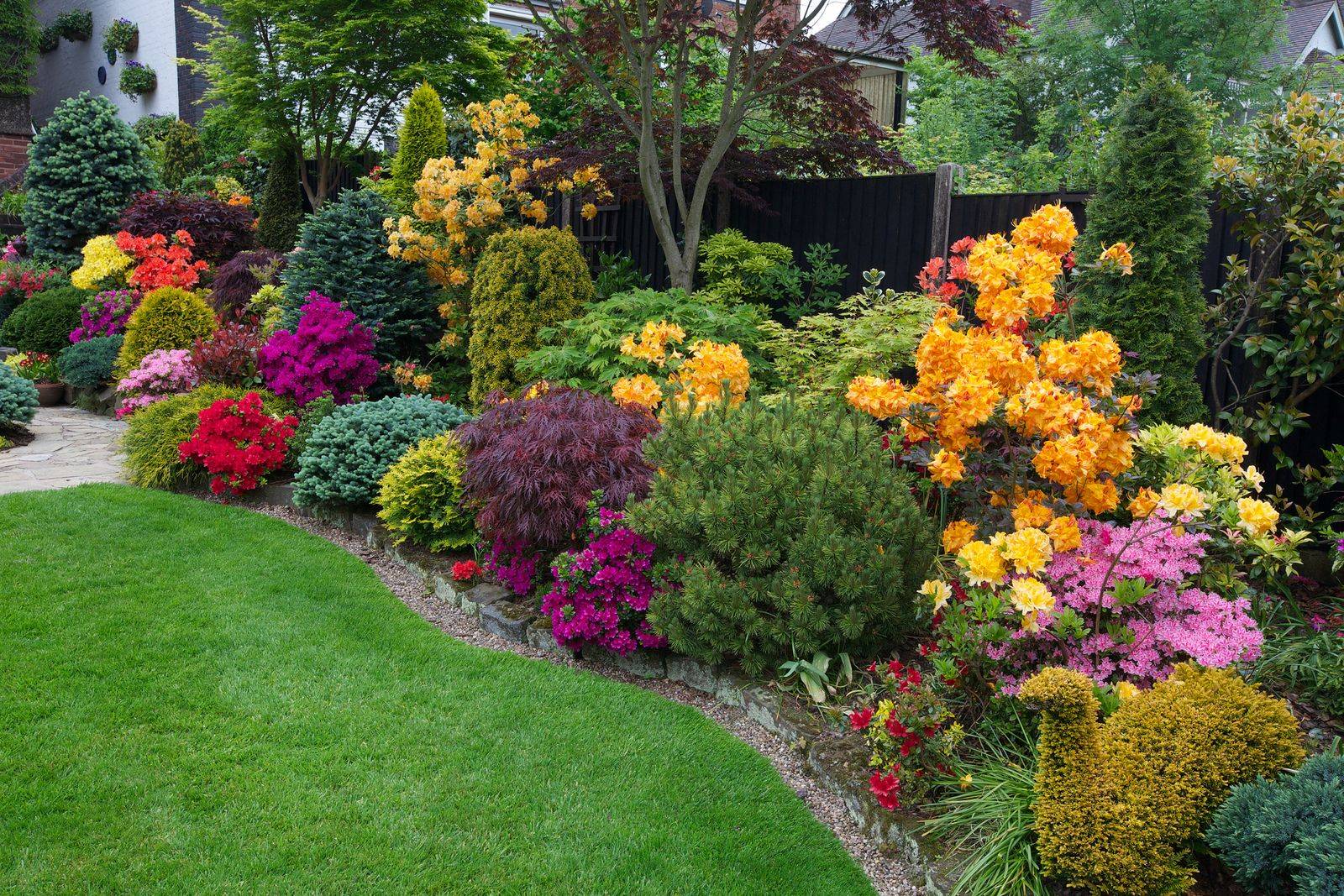 Mixed Spring Perennial Shrub Bed