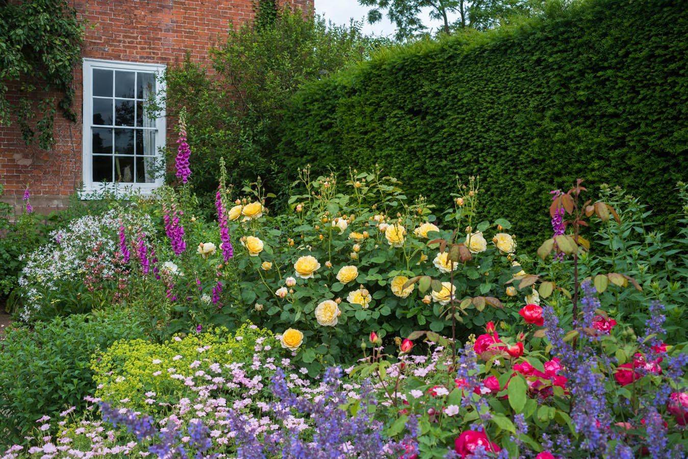 Carolyne Roehm Rose Garden Design