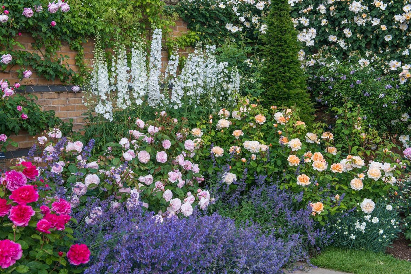 Summer Flower Garden Border Ideas