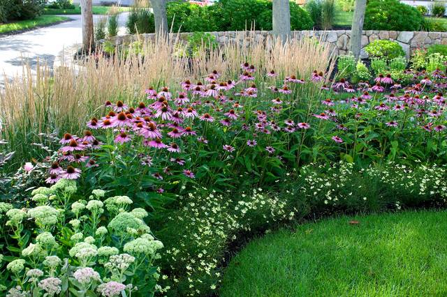 Backyard Landscaping
