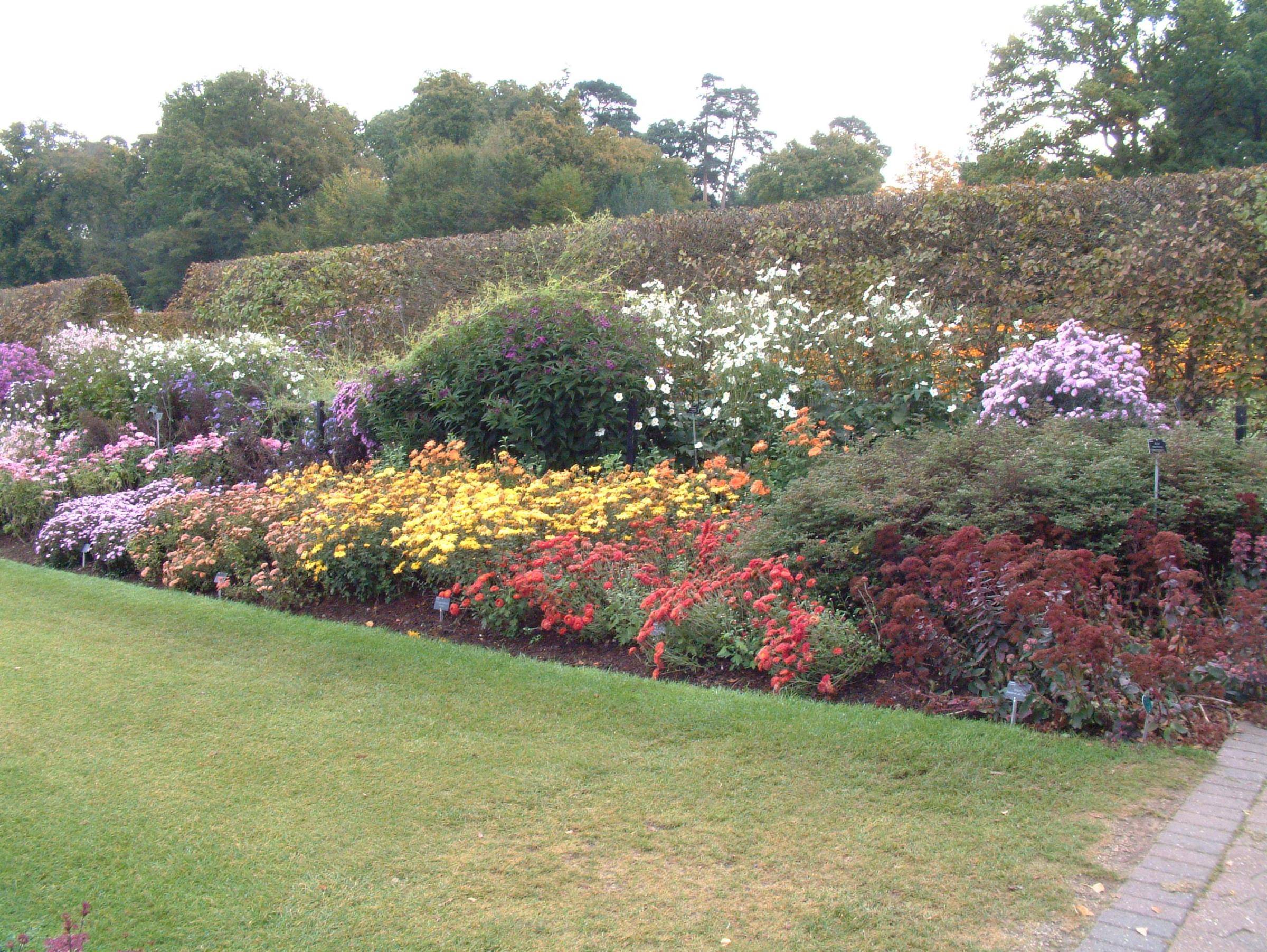 23 White Mixed Border Garden Ideas You Should Check SharonSable