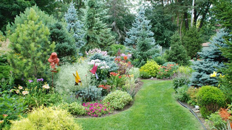 White Hydrangea Perennial Border