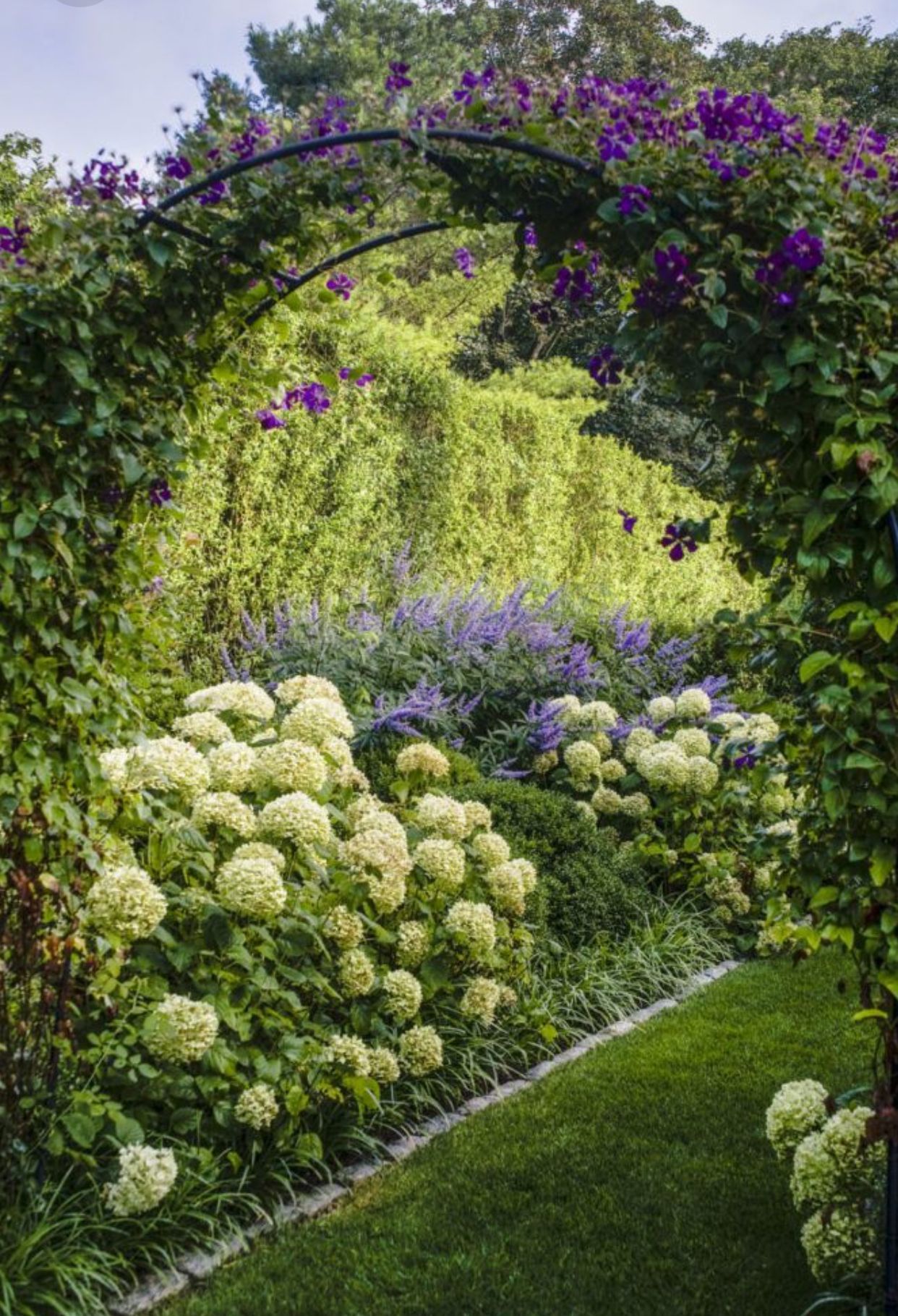 Scottish Mixed Border Lovely Shades