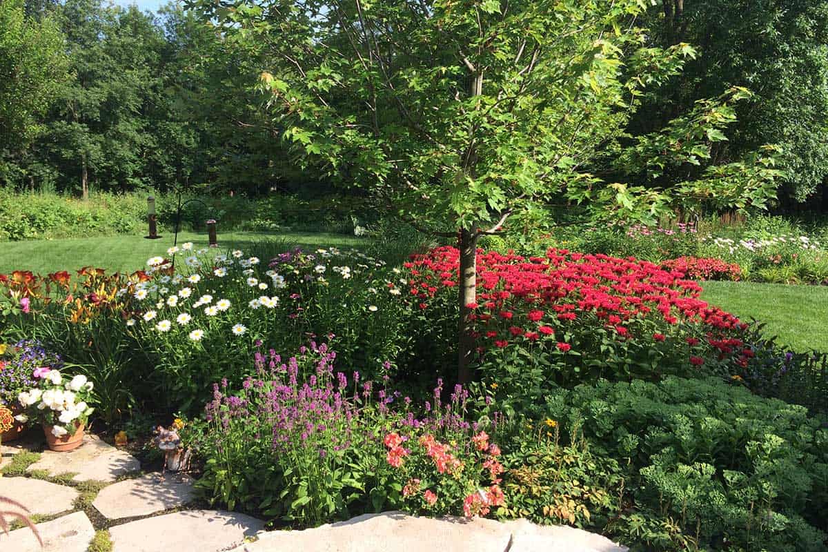 Summer Flower Garden Border Ideas
