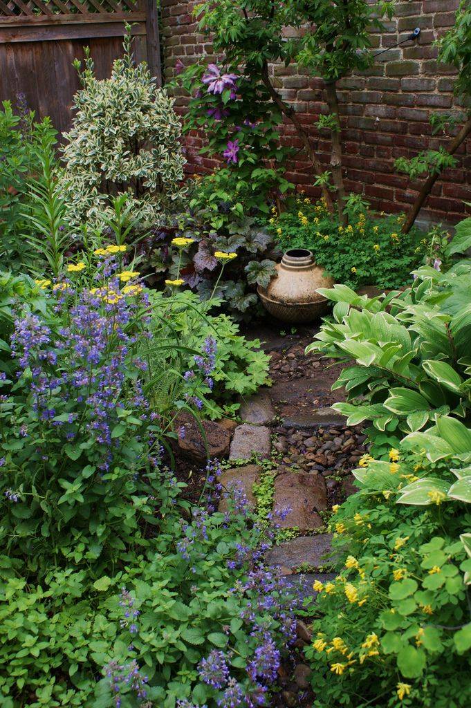 A Long Border Finegardening