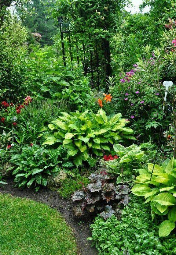 Mixed Perennial Border Perennials Plants Perennial Border