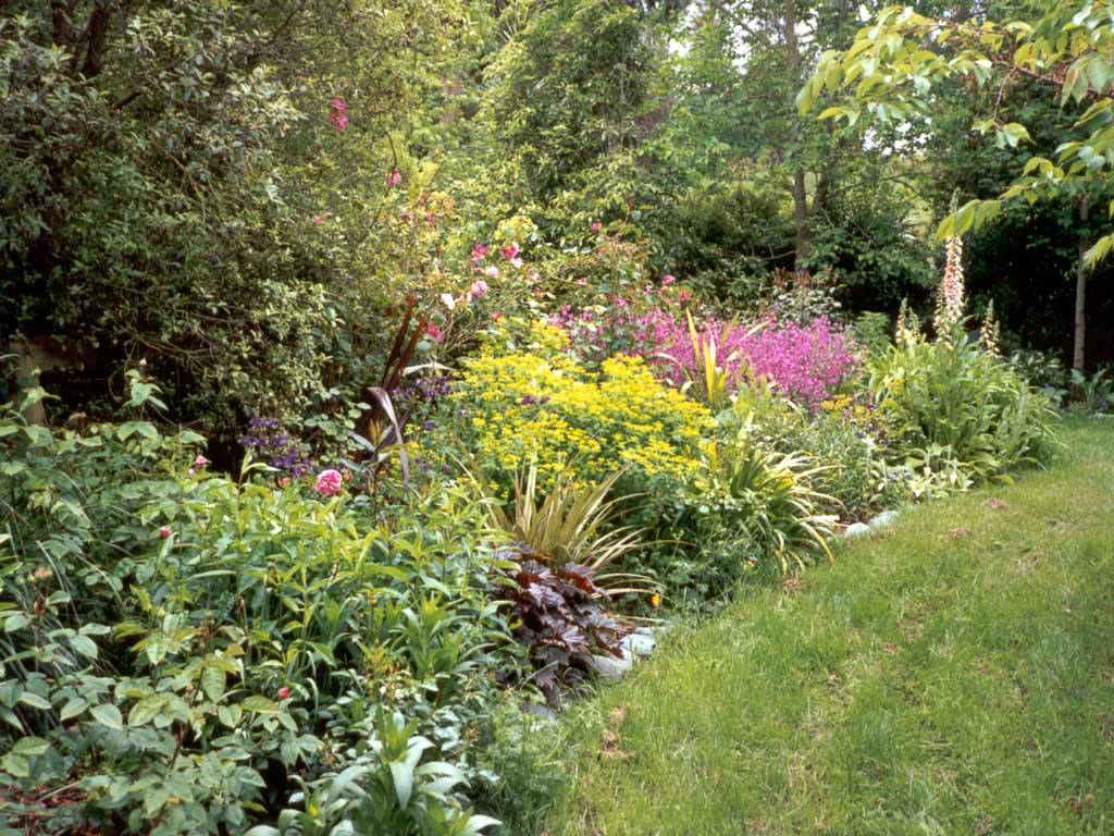 Olander Garden Design