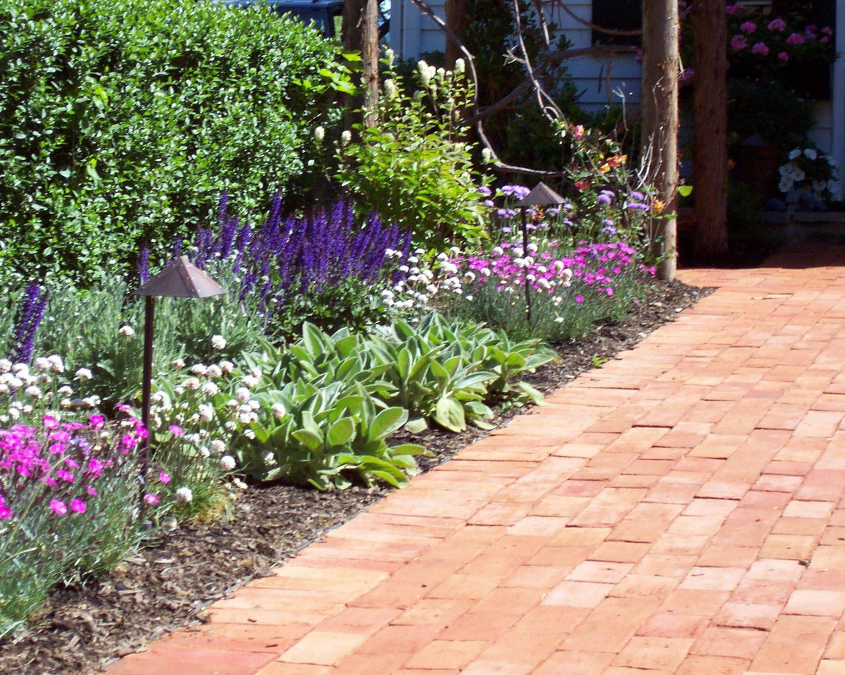 Semishade Garden Border