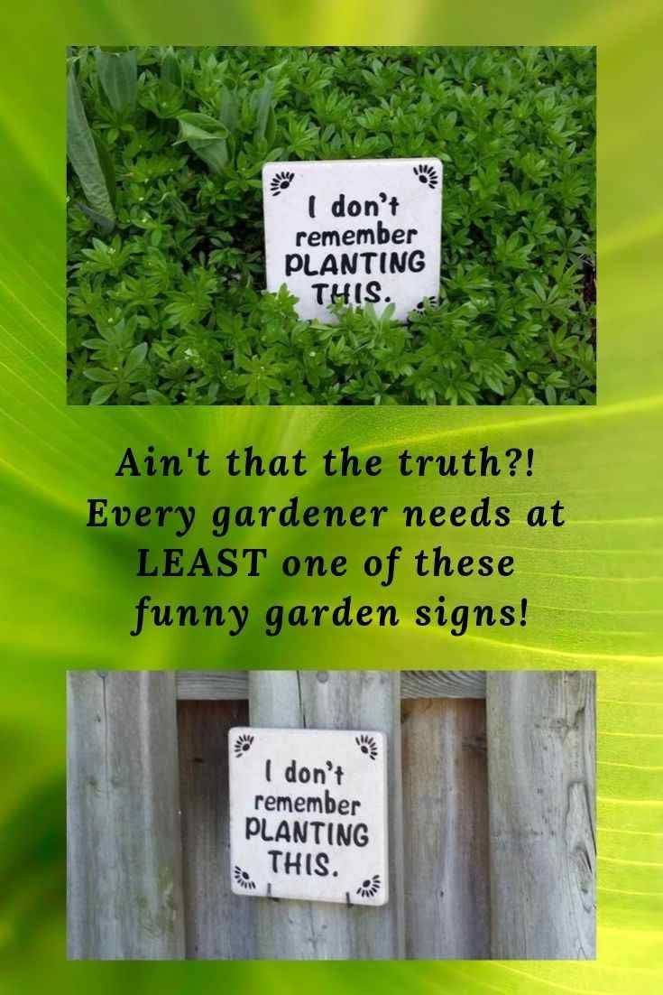 Diy Funny Garden Signs Great Gardening Websites
