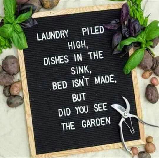 Toad Garden Marker